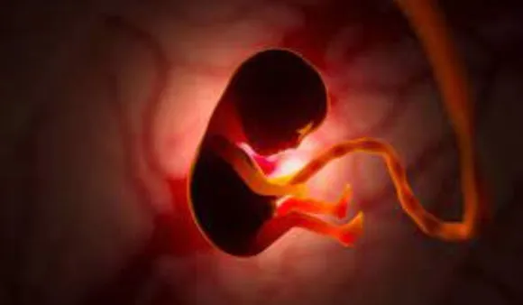 World's First 'Synthetic Embryos' Created Without Sperm Or Egg