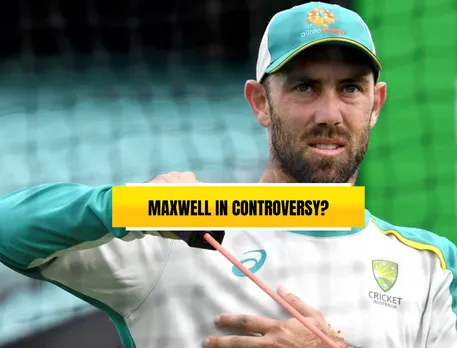 Cricket Australia to investigate Adelaide pub incident incident involving Glenn Maxwell