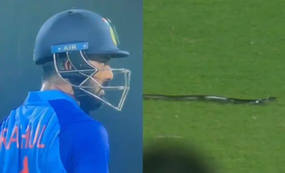 WATCH: Shocking! Snake enters the ground during 2nd T20I between India and South Africa, video goes viral