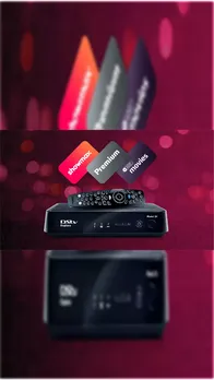 dsv