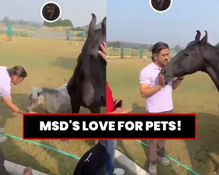 WATCH: MS Dhoni seen pampering his horses