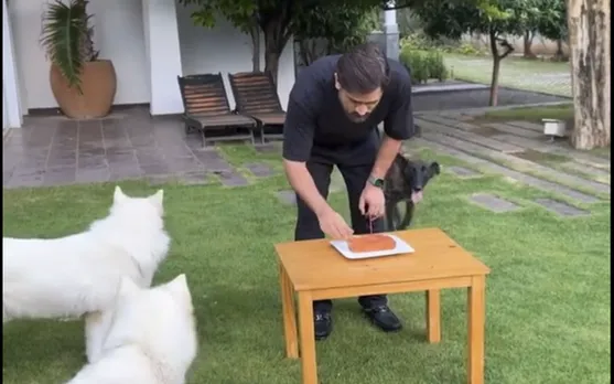 Watch: MS Dhoni celebrates 42nd birthday by cutting cake with his dogs; shares a short clip on social media 