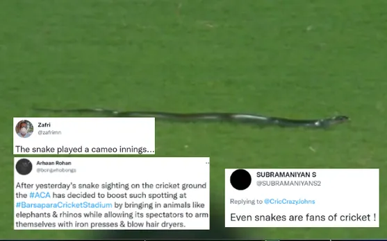 'This is insane' - Fans flabbergasted as snake interrupts India vs South Africa second T20I