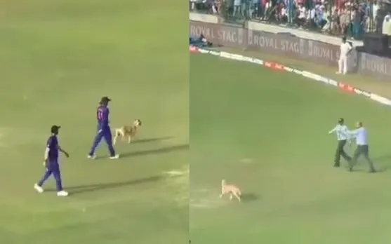 Watch: Dog invades field in third ODI against South Africa, gets shooed away after causing chaos