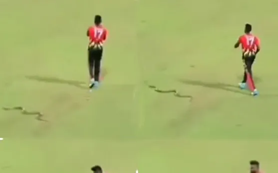 Watch: Isuru Udana's lucky escape as snake enters field during a game in LPL 2023
