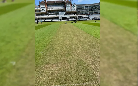 'Garden me khel rhe hain kya' - Fans react as Dinesh Karthik shares first look of pitch ahead of WTC final