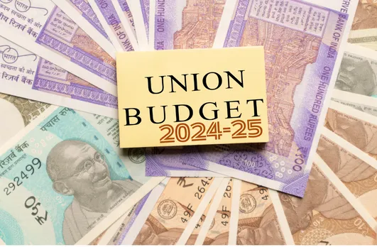 From Agriculture to IT Sector What MSMEs want from This Union Budget 2024