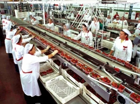 9 Million Jobs in Food Processing Sector by 2024