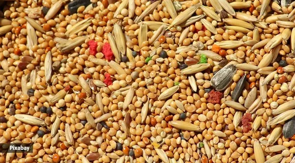 Munch Fit Drives Millets Movement in India As UN Declared 2023 as 'International Year of Millets'