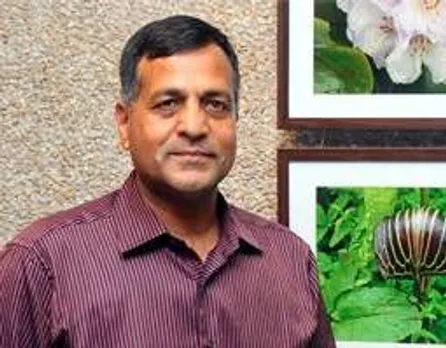 Ashok Lavasa, Finance Secretary