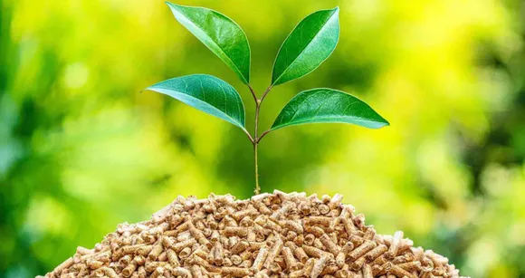 Biomass Policy Requires 5% Co-Firing in Thermal Power Plants by 2024-25