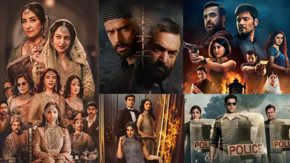 Hindi web series of 2024 that couldn't stand tall on their order