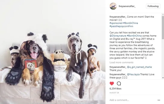 popular dogs on Instagram