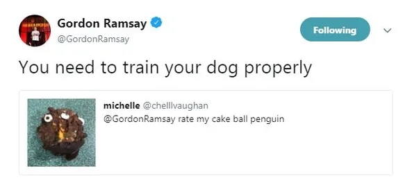 Gordon Ramsay roasts