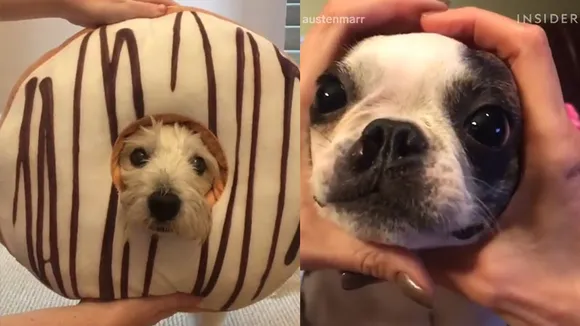 The #SnootChallenge is here and we can’t handle the cuteness!
