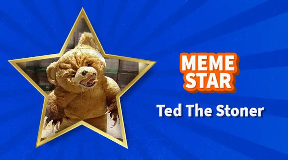 Memestar in Focus: Ted The Stoner - Hysterical Memer Who Serves Truth With A Pinch Of Sarcasm