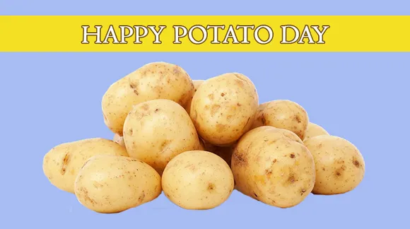 Best Potato Memes The Internet Has To Offer