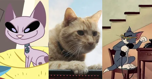 6 cats from movies and shows that we want as a pet!