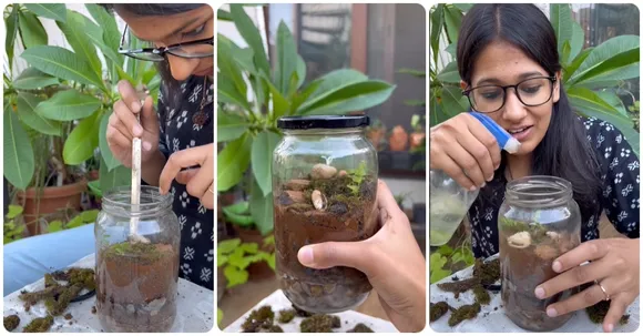 Ratika Khandelwal helps us get to the 'root' and understand all about terrariums!