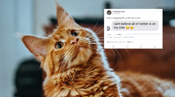 Twitter applauds this purr-fect PowerPoint presentation to convince parents to get a pet cat