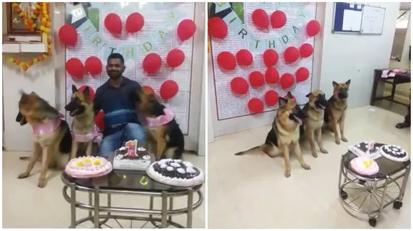 One-year-old training dogs make it to the internet as Mumbai Police celebrates their birthday