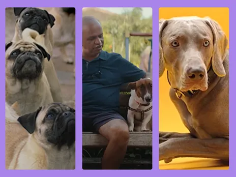 International Dog Day: A glance at campaigns that feature our furry friends