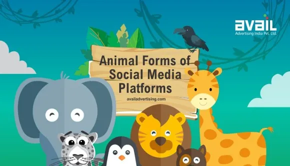 social media platforms as animals