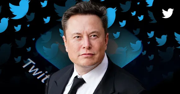 Navigating through the chaos at Elon Musk's Twitter, experts suggest way forward