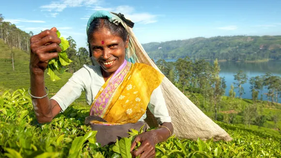 Tata Tea Kanan Devan takes users on a tour to their tea-plantations