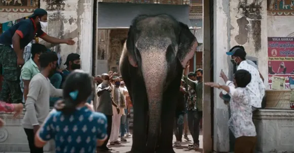 Fogg picturizes the idiom 'Haathi toh nikal gaya, bus pooch baaki hai' for new campaign
