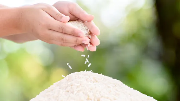 Linteractive bags the digital mandate of India Gate Basmati Rice