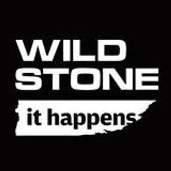 How Wild Stone Engaged its Fans with Valentines Day Rule Book