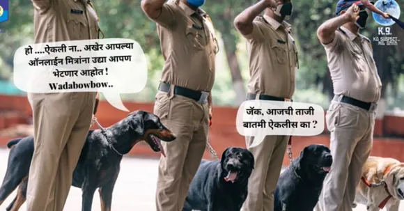 Police Forces mark International Dog Day with creatives cherishing K9s