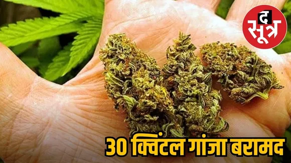GANJA MP