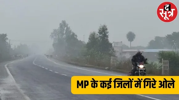MP में फिर बदलेगा मौसम,  छत्तीसगढ़ में हल्की बारिश की संभावना, राजस्थान में फिर होगी झमाझमा बारिश