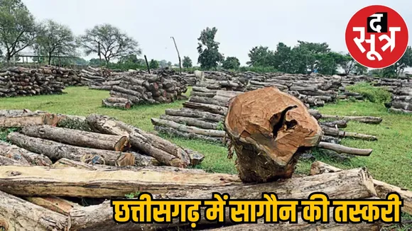 Smuggling of teak wood in Chhattisgarh