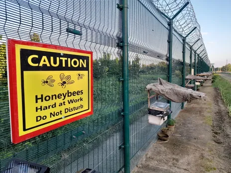 इस डर से कि इस मार्ग से किसी भी तरह की घुसपैठ उन्हें मधुमक्खियों के प्रकोप से नहीं बचा पाएगी, तस्कर और घुसपैठिए सुरक्षित दूरी बनाए हुए हैं। (छवि: न्यूज़18)