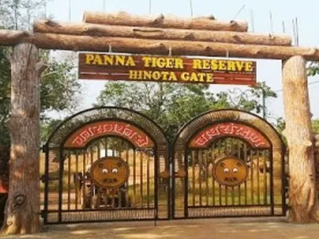 Panna Tiger Reserve Doors Open on October 1 and increase in number of  tourists from two years | Hindi News,पर्यटकों से गुलजार होगा पन्ना टाइगर  रिजर्व, आएंगे रिकॉर्ड सैलानी, 1 अक्टूबर से