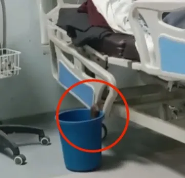 दवाइयों और मेडिकल वेस्ट से भरे डस्टबिन में चूहे।
