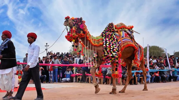 हेरिटेज वॉक के साथ रंगारंग कार्यक्रम शुरू, प्रतियोगिता में सज-धजकर आए ऊंट, छलांग मारते और डांस करते दिखे