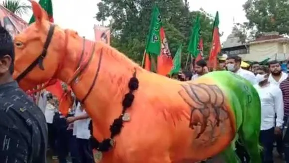 सिंधिया की यात्रा में घोड़ा विवाद: BJP सांसद मेनका गांधी की संस्था ने की थाने में शिकायत
