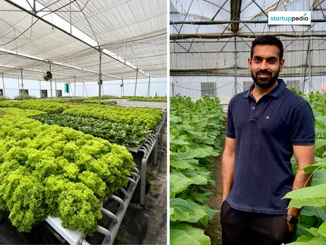 MBA Grad Grows Veggies Hydroponically, Targets ₹1 Cr Revenue in FY25