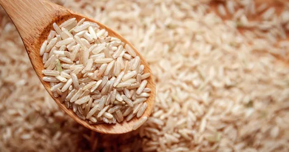 பழுப்பு அரிசி புரதத்தின் நன்மைகள்