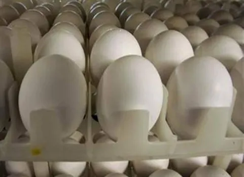 eggs-l-reuters