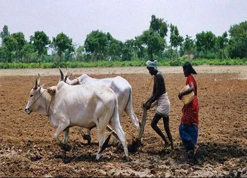 உழவர்களின் பயிர்க்காப்பீடு நிலுவையை உடனடியாக வழங்க நடவடிக்கை தேவை - ராமதாஸ்