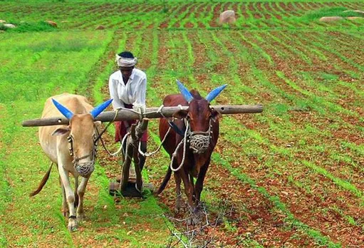 விவசாயத்திற்கும் கடன், குடும்பச் செலவுக்கும் பணம்: மத்திய அரசில் இப்படியும் திட்டமா?