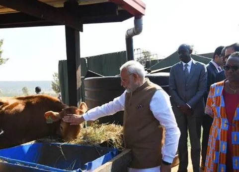 ஆப்பிரிக்க நாட்டிலும் பசுக்களுக்கு ஆதரவாக நரேந்திர மோடி!