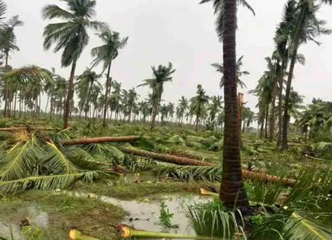 கஜ நிவாரண பணிக்கு 1000 கோடி விடுவித்த தமிழக அரசு... விவசாய பாதிப்புக்கு எவ்வளவு தொகை?