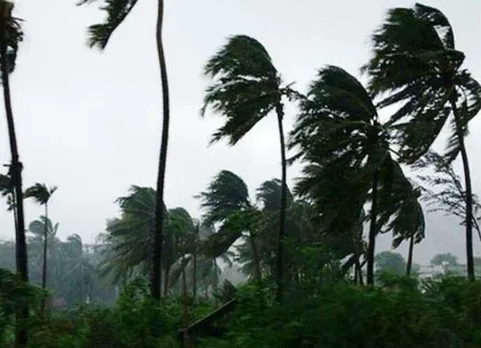 Cyclone Phethai : 16 கிமீ வேகத்தில் வருகிறது பெய்ட்டி புயல்... இப்போது எங்கே இருக்கிறது?