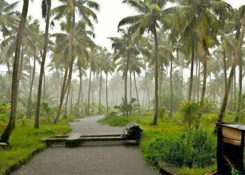 கேரளாவை மிரட்ட காத்திருக்கும் தென்மேற்கு பருவமழை... மலையாள தேசம் செல்பவர்கள் பொறுமை காக்கவும்!